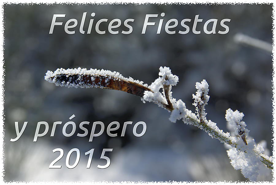 image from Felices Fiestas