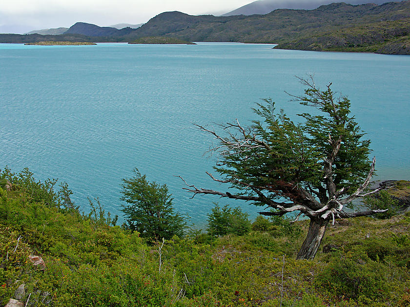 image from Lago Pehoe